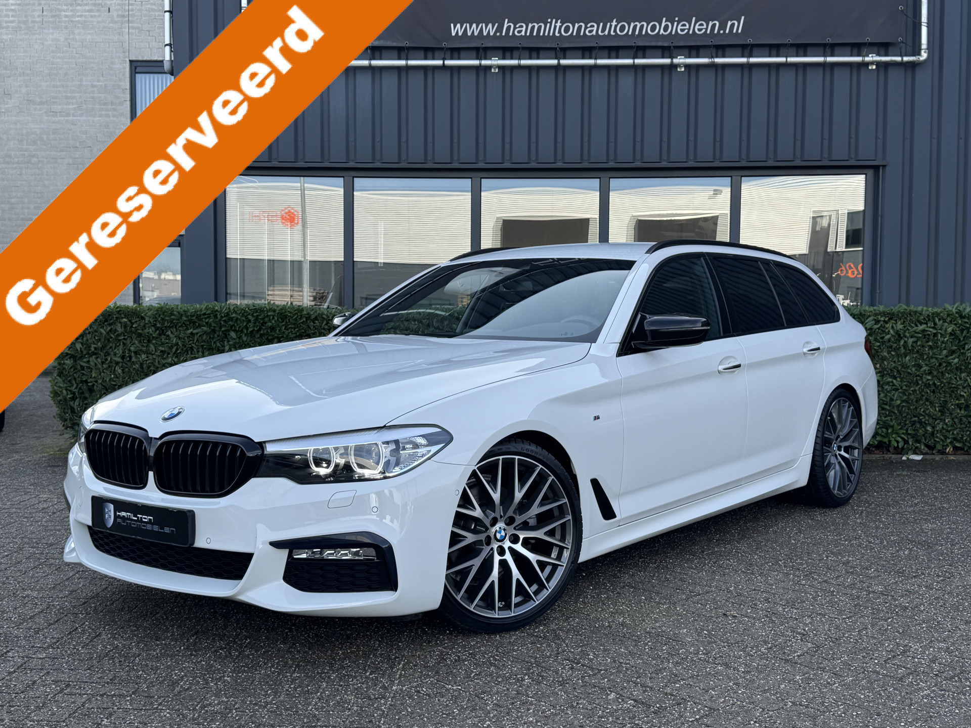 50411066